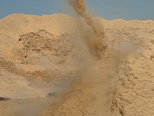Bagasse